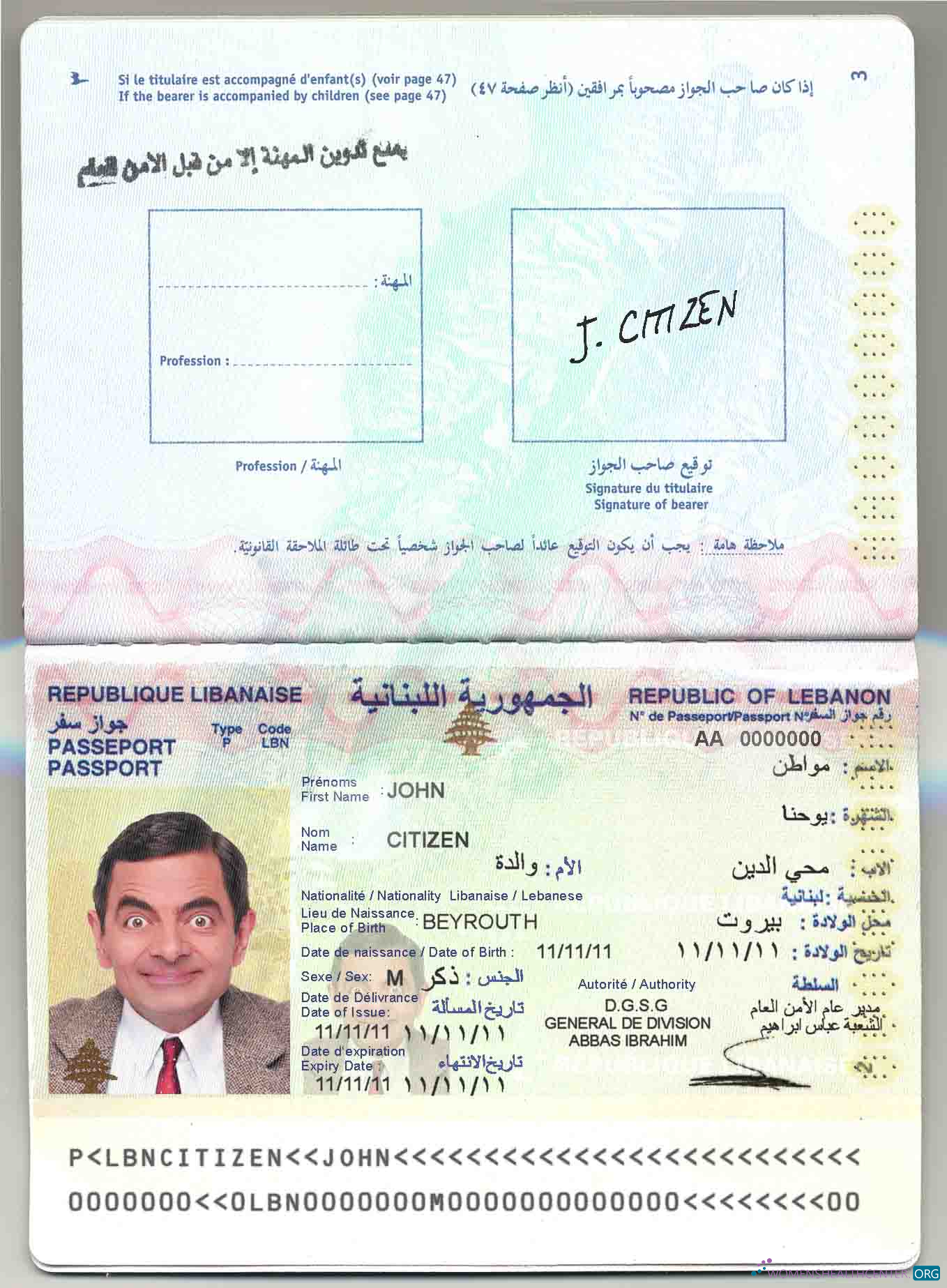 Angola LNG proof of address utility bill template in Word and PDF format